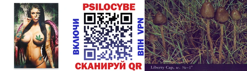 ОМГ ОМГ вход  Дятьково  Галлюциногенные грибы Magic Shrooms  купить наркоту 